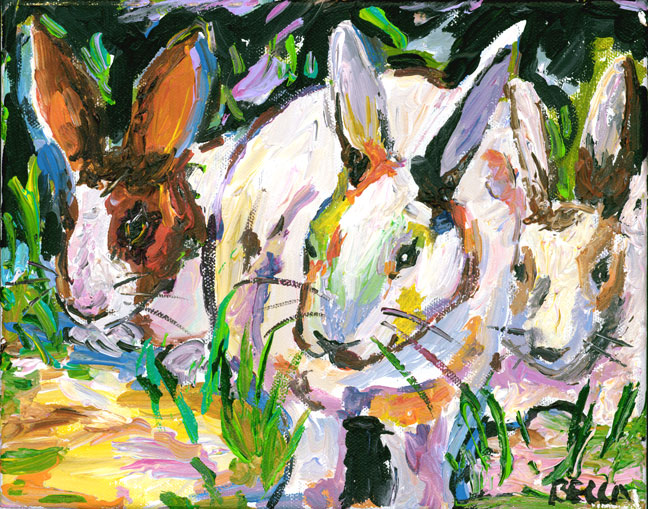 Rabbits