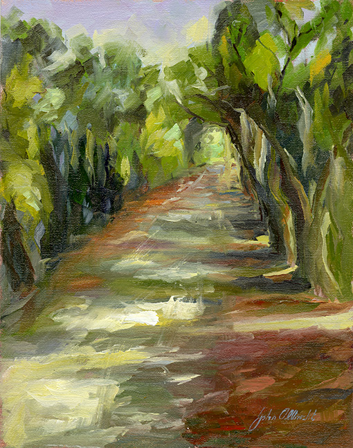Afternoon Walk