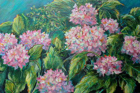 Pink Hydrangea2